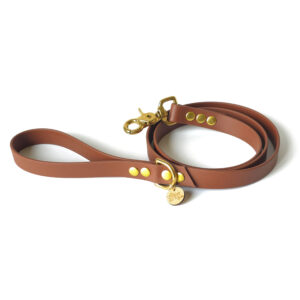 Laisse unicolore en biothane