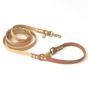 Laisse 3 positions bicolore