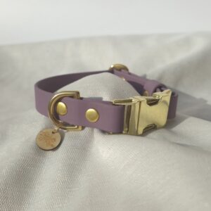 Collier en biothane avec clips