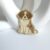 Saint Bernard